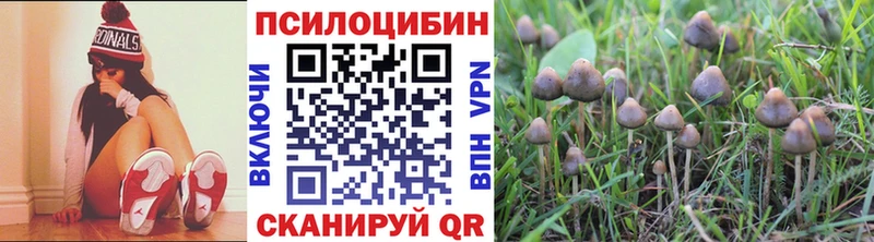 Галлюциногенные грибы мухоморы  Саров 